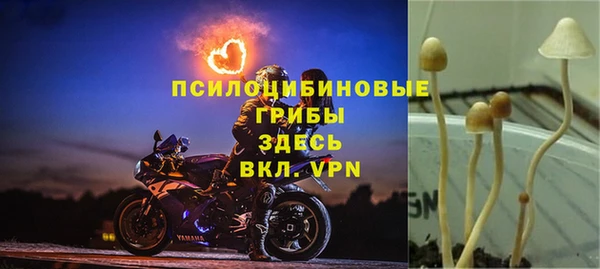 альфа пвп Волосово