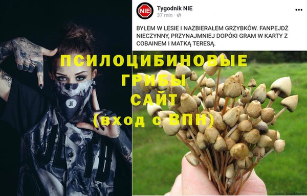 прущая мука Аша